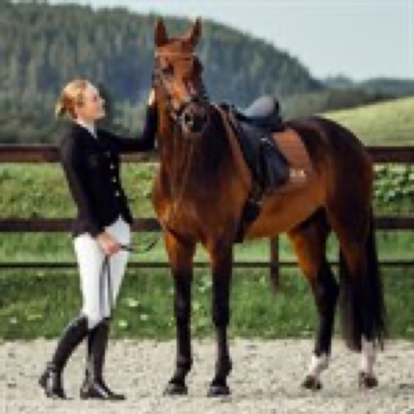 Equestrian Blazer - B//Vertigo - Gabrielle Womens Mesh Show Jacket - Black S-6 - Picture 10 of 12
